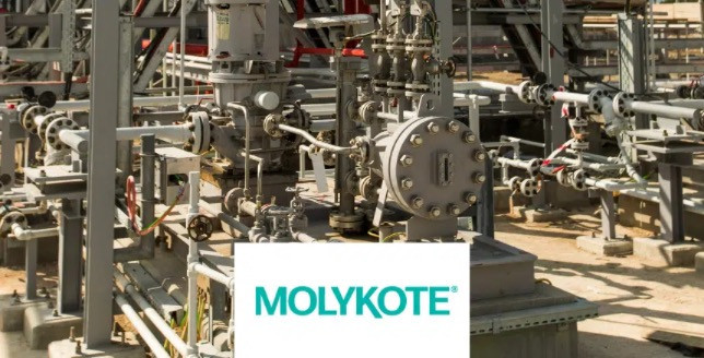 Molykote solutions for Valve lubrication